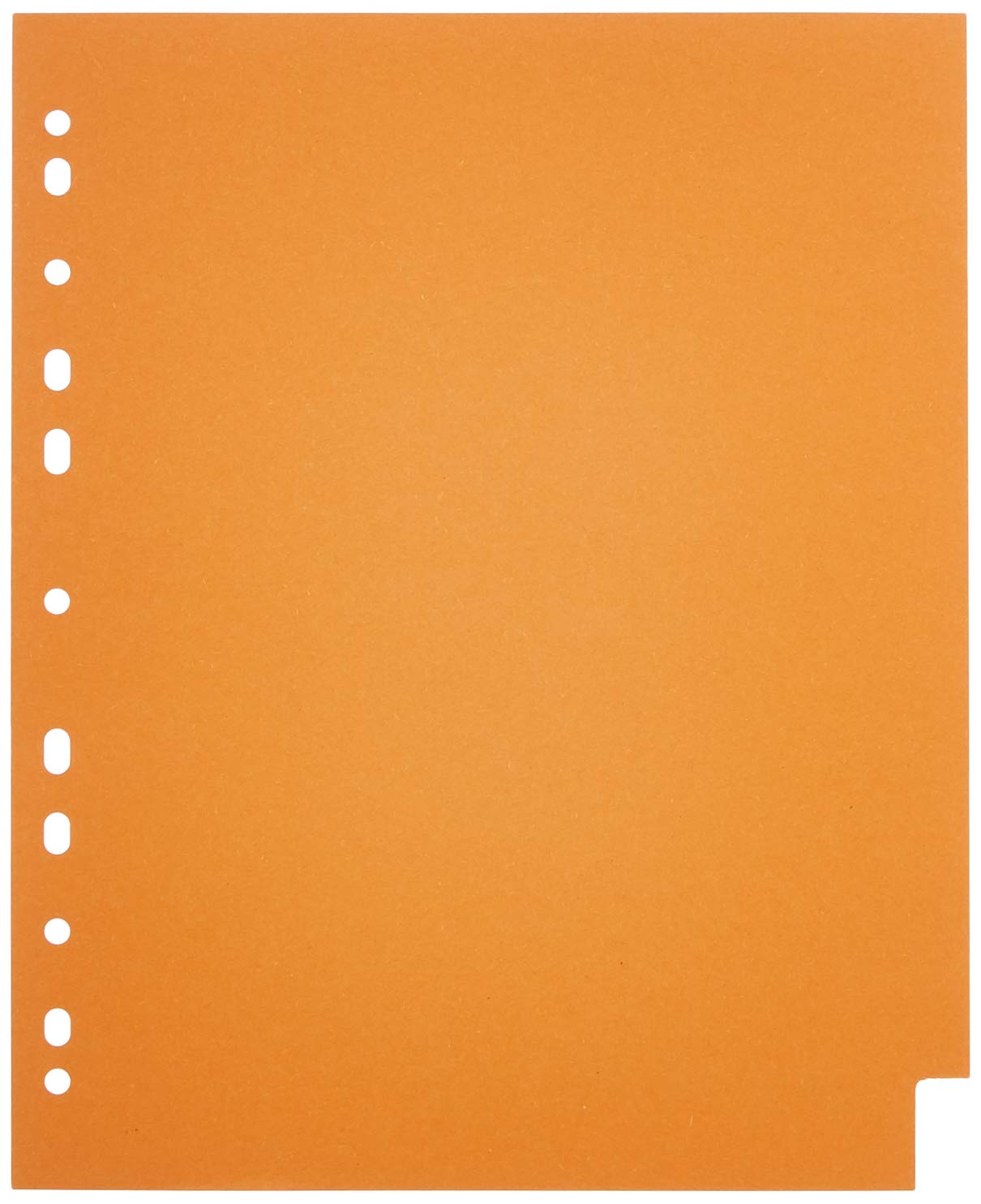 AmazonBasics A4 分頁索引｜10標籤・230 GSM・圖片 3